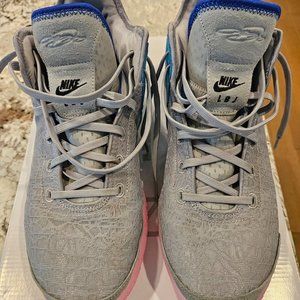 Used Nike LeBron 20 NXXT GEN sz 13 Wolf Grey/Pink Spell/Royal Hyper